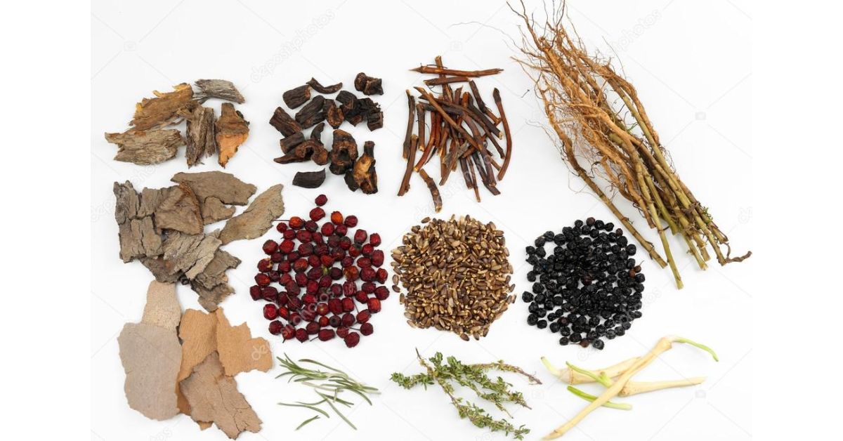 Traditional Chinese Medicine Herbs List